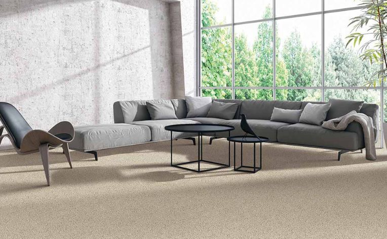 Durable beige carpet in a living room with a view of the mountains
